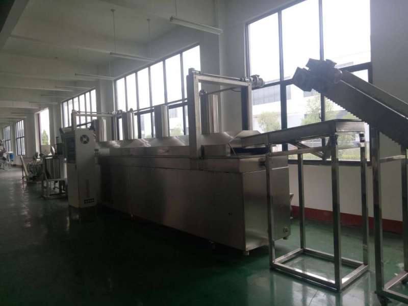 油炸機(jī)生產(chǎn)線(xiàn)